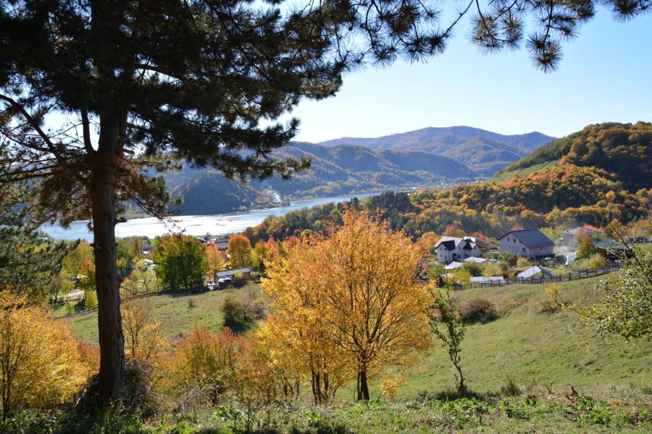 Casuta Mea Villa Piatra Neamţ Екстериор снимка